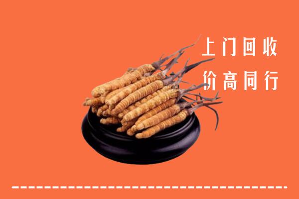 高价求购：铁东区回收散虫草
