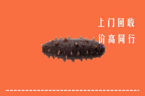 铁东区回收海参