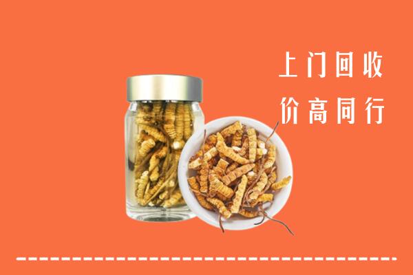 铁东区回收冬虫夏草