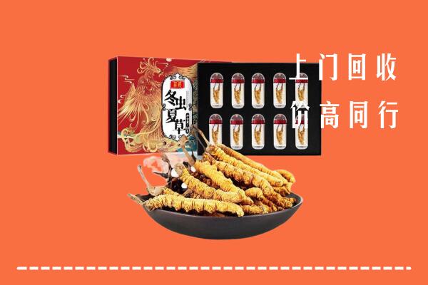 铁东区回收虫草